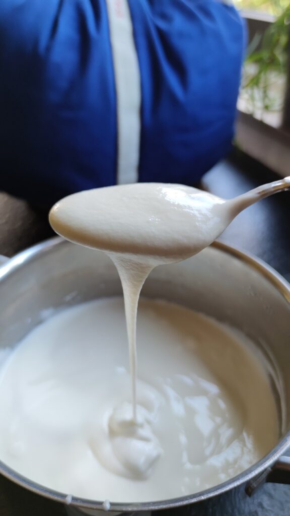 Zelfgemaakte yoghurt
